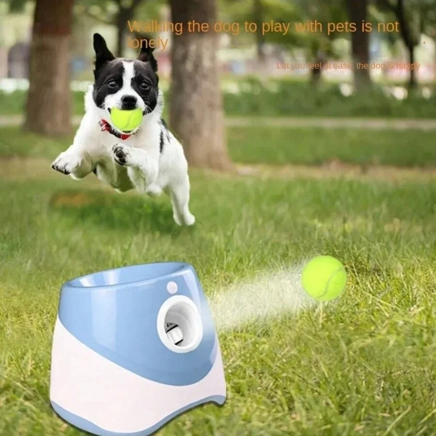 Automatic Dog Ball Launcher – Smart Play for Happy Dogs