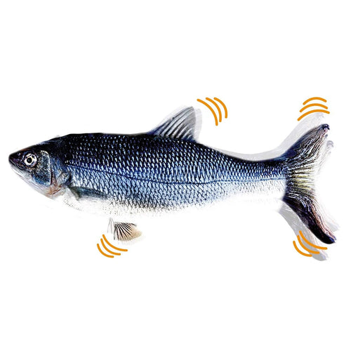 Glowing Electric Fish Cat Toy – Interactive Simulation with Light