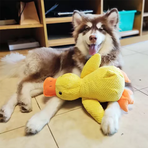 Dog Hug Duck Toy - Interactive Plush Companion