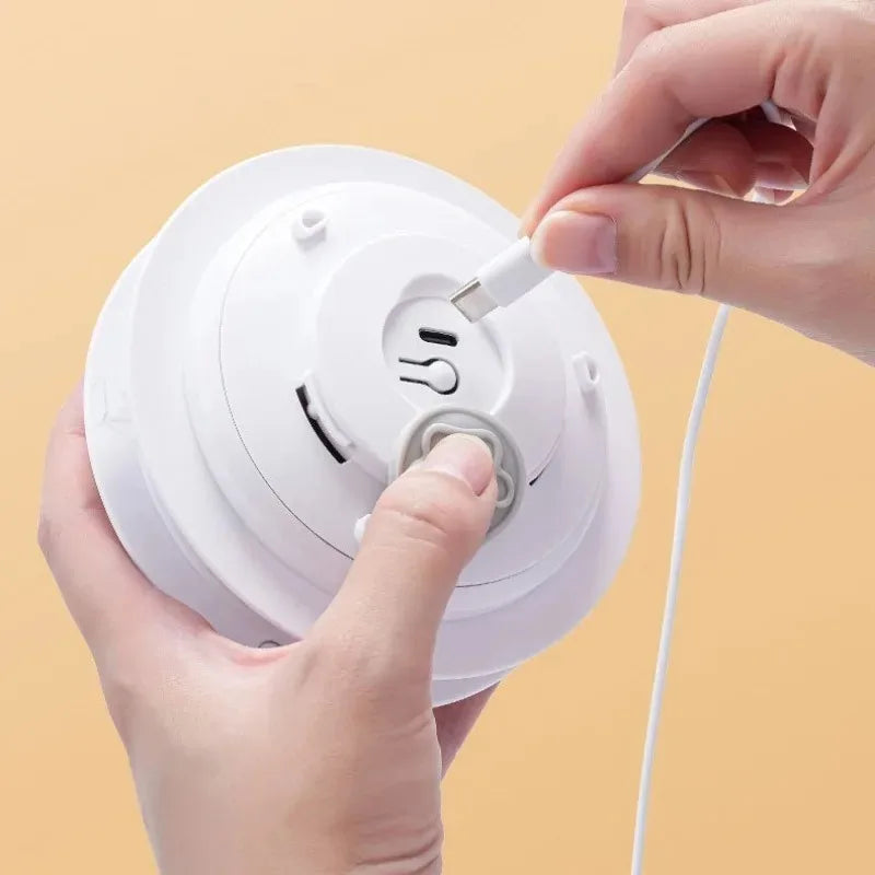 Interactive Cat Toy – Automatic Hide & Seek with Moving Feathers