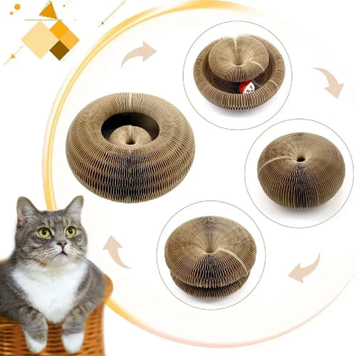Foldable Cat Scratcher & Bed – Magic Organ Cardboard Interactive Cat Toy
